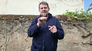 Platzhalter-Bild fuer YouTube-Video