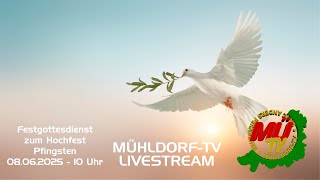 Platzhalter-Bild fuer YouTube-Video